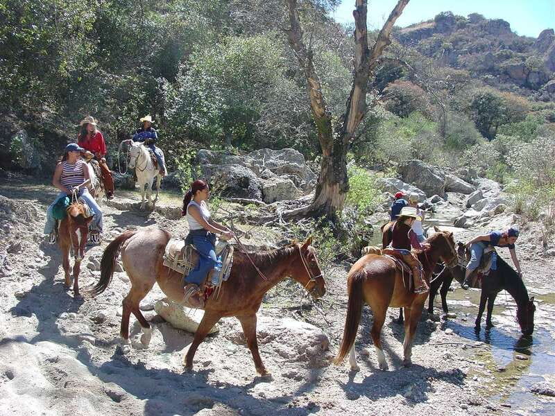 San Miguel Allende: Half-Day Horseback Riding Adventure - Hot springs or a 150-foot rappel