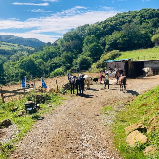 San Sebastian: Horseback Riding & Traditional Delights - Key points before you book
