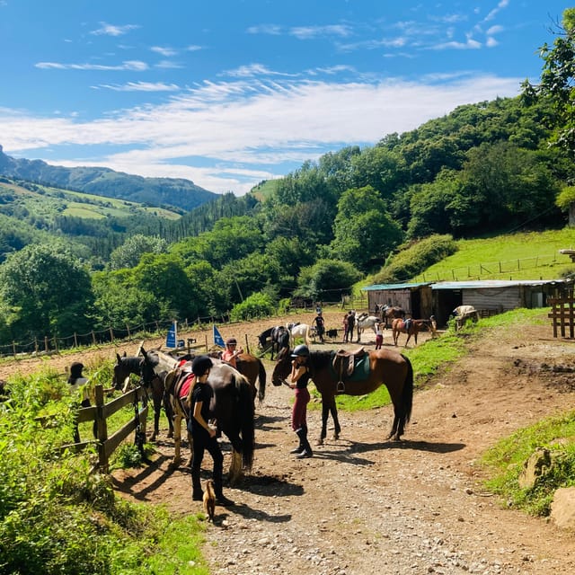 San Sebastian: Horseback Riding & Traditional Delights - Should you book this horseback ride?