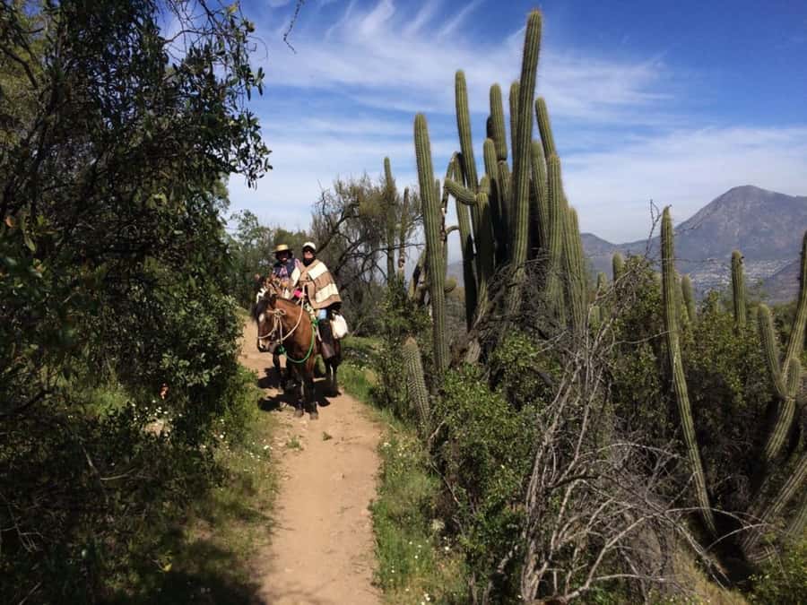 Santiago: Private Andes Foothills Horseback Riding. Half day - Key points at a glance