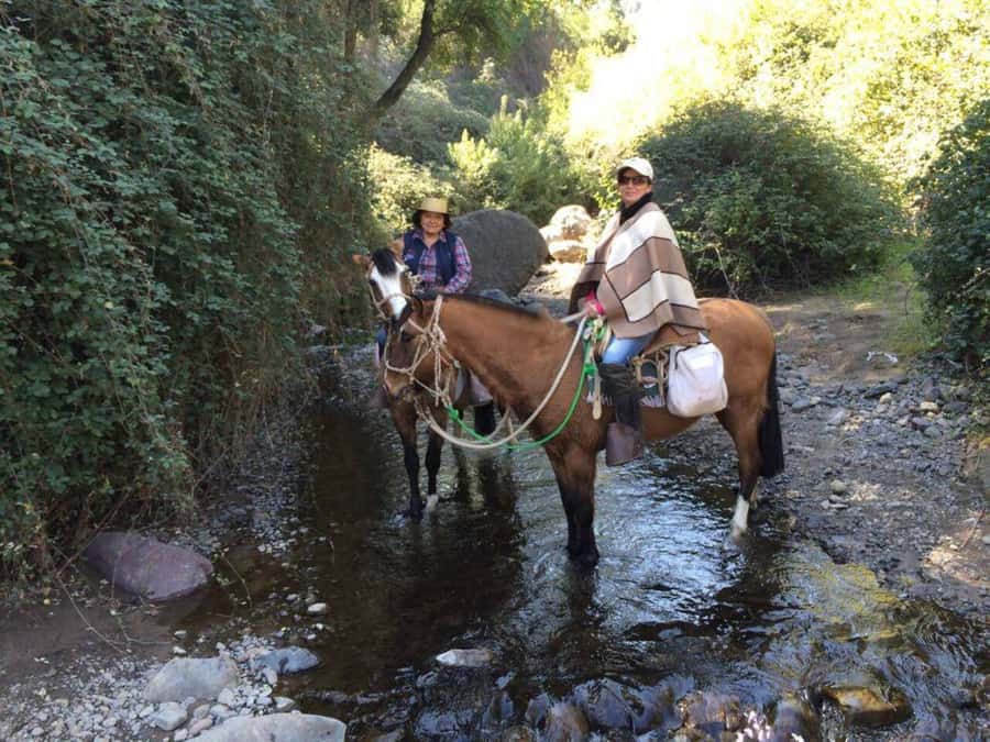 Santiago: Private Andes Foothills Horseback Riding. Half day - Who should book this ride
