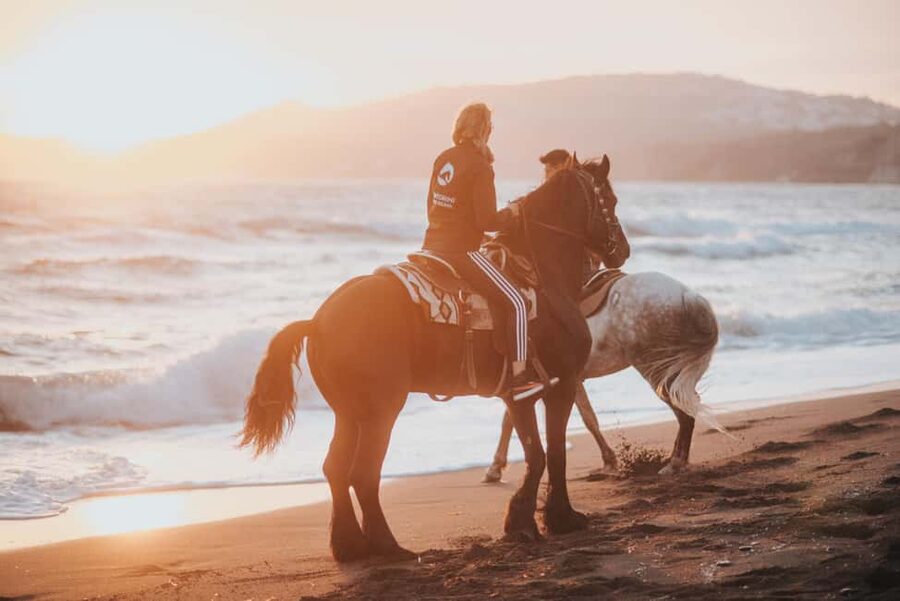 Santorini: Extreme Horse Safari with Beach Gallop - Key points to know before you book