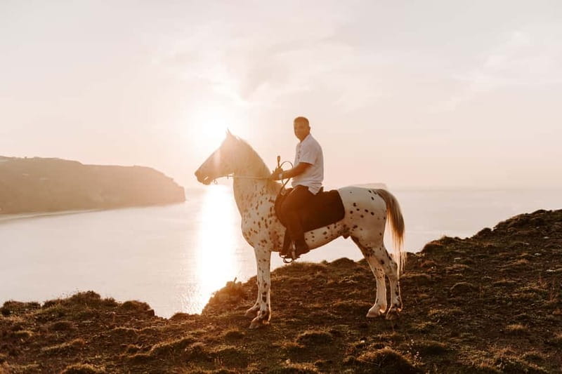 Santorini: Extreme Horse Safari with Beach Gallop - Horse care and the quality of the ride