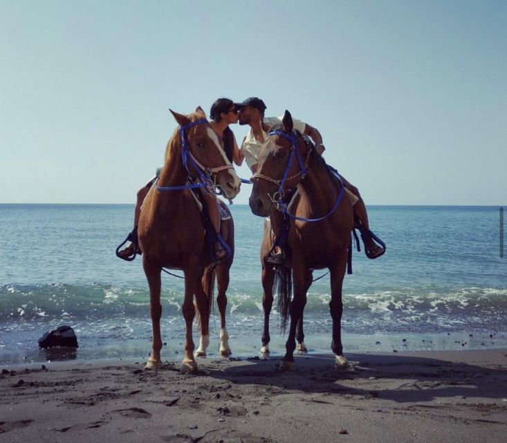 Santorini Fun day: Horseriding- Wine Tasting - Tapas - Key things to know before booking