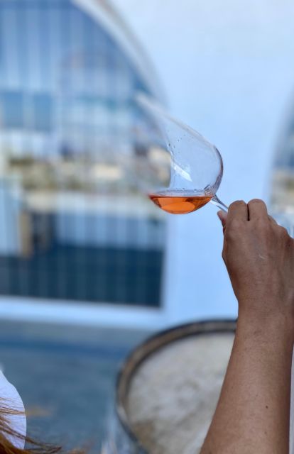 Santorini Fun day: Horseriding- Wine Tasting - Tapas - Riding along the black beach and lava terrain