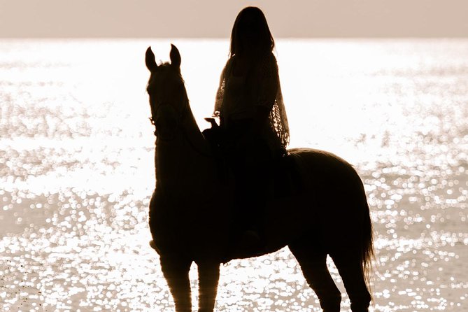 Santorini: Horse Riding to the Black Sandy Beach (Eros beach) - From Megalochori vineyards to the black shore