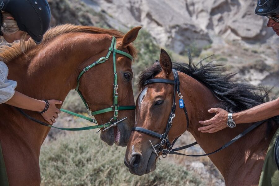 Santorini: Horse Riding Trip to Black Sandy Beach - Timing, clothing, and comfort