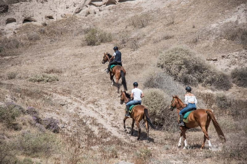 Santorini: Horse Riding Trip to Black Sandy Beach - Who should book this Santorini ride?
