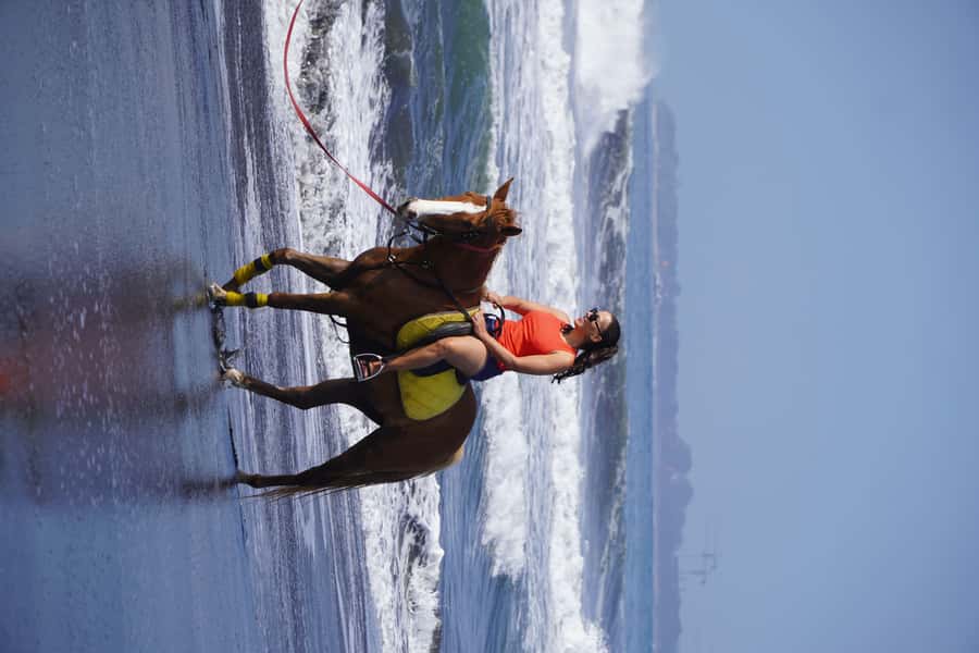 Sanur: Horse Riding at the Bali Beach 30 minute ride - Key points to know before booking