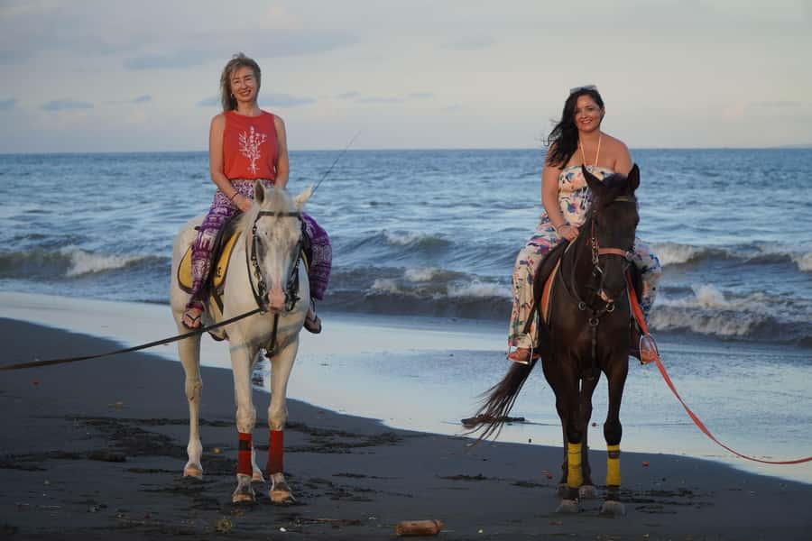 Sanur: Horse Riding at the Bali Beach 30 minute ride - Meeting your horse at Muara Adventure