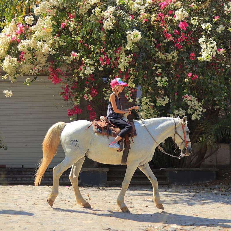 Sayulita: Horseback Riding Tour - Starting at Rancho Mi Chaparrita