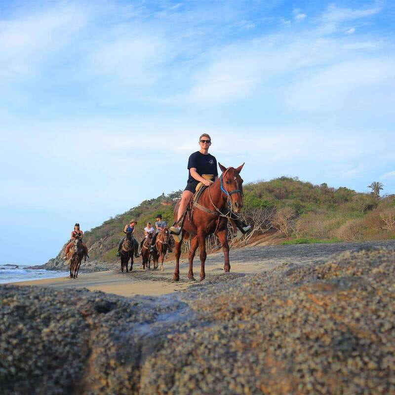 Sayulita: Horseback Riding Tour - The biggest strengths and the small compromises