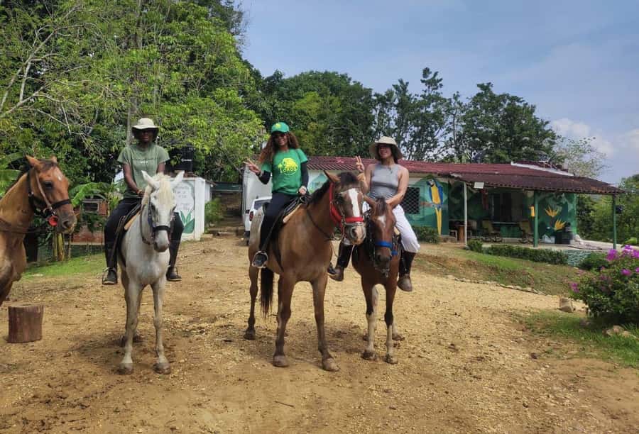 Scenic Horseback Ride in Tropical Mountain Reserve - The 15-kilometer horseback ride