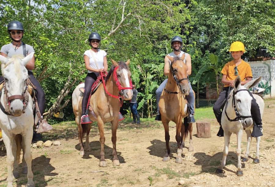 Scenic Horseback Ride in Tropical Mountain Reserve - Monkeys, macaws, and the value of a slower pace