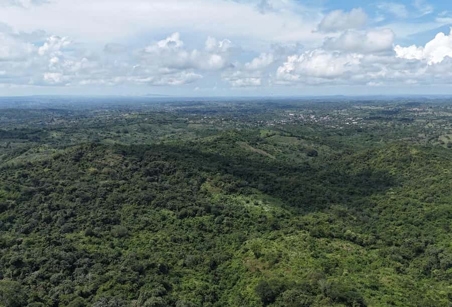 Scenic Horseback Ride in Tropical Mountain Reserve - Meeting farmers and tasting local fruit