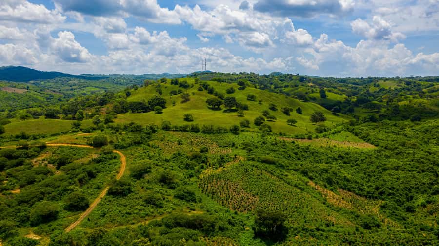 Scenic Horseback Ride in Tropical Mountain Reserve - Is $169 a fair price?