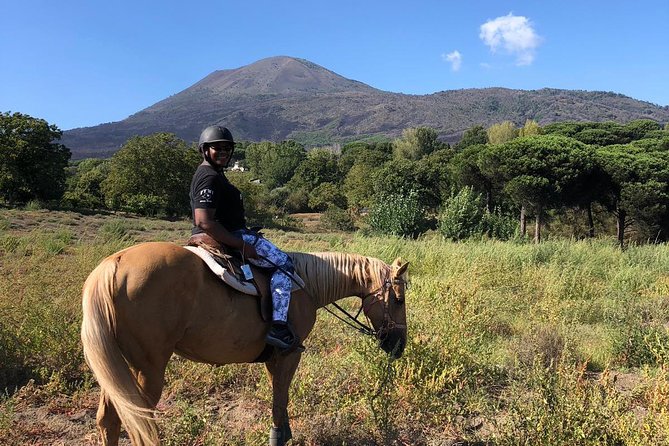 Scenic Horseback Ride, Wine Tasting & Lunch on Mt. Vesuvius - Key points at a glance