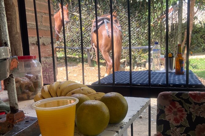 Scenic Horseback Riding in the Medellín Mountains - Crossing streams on horseback