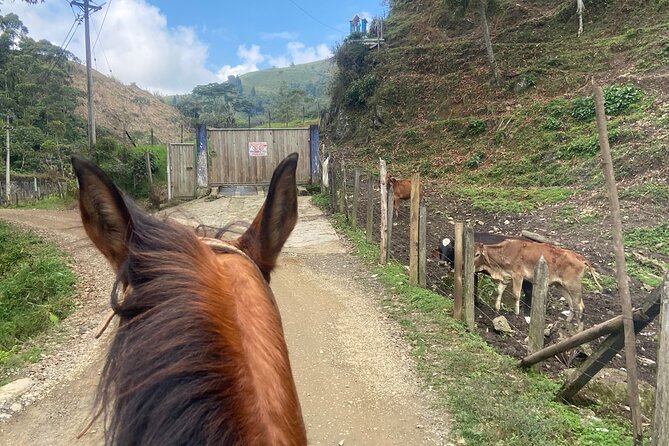 Scenic Horseback Riding in the Medellín Mountains - How long are you actually on the horse?