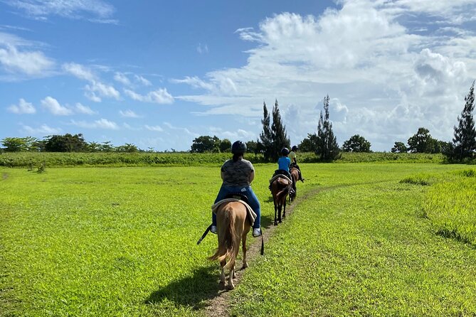 Scenic Horseback Riding Tour from San Juan - Leaving San Juan for Hacienda Campo Rico