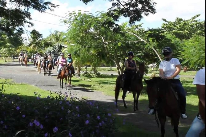 Scenic Horseback Riding Tour from San Juan - What the guides add to the experience