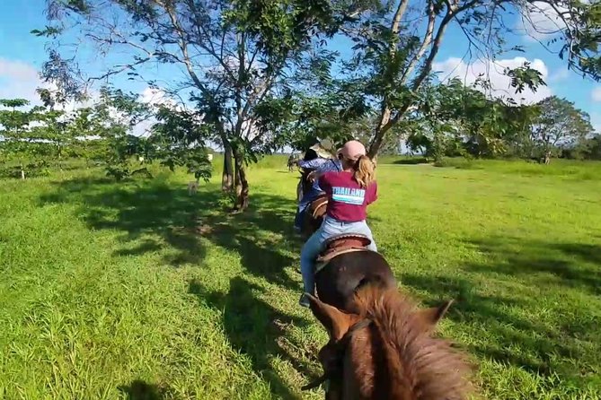 Scenic Horseback Riding Tour from San Juan - Who should book this horseback ride?