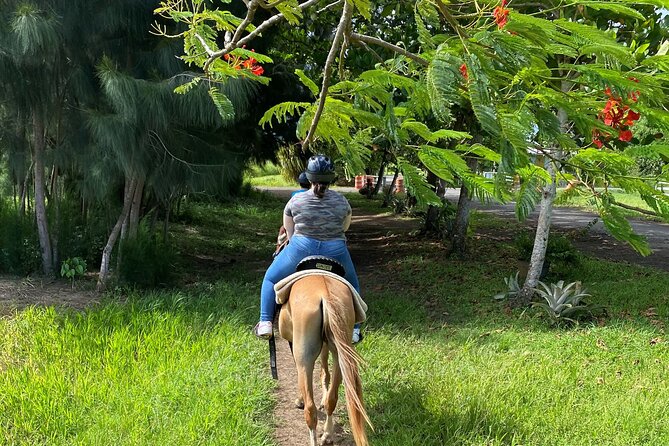 Scenic Horseback Riding Tour from San Juan - FAQ