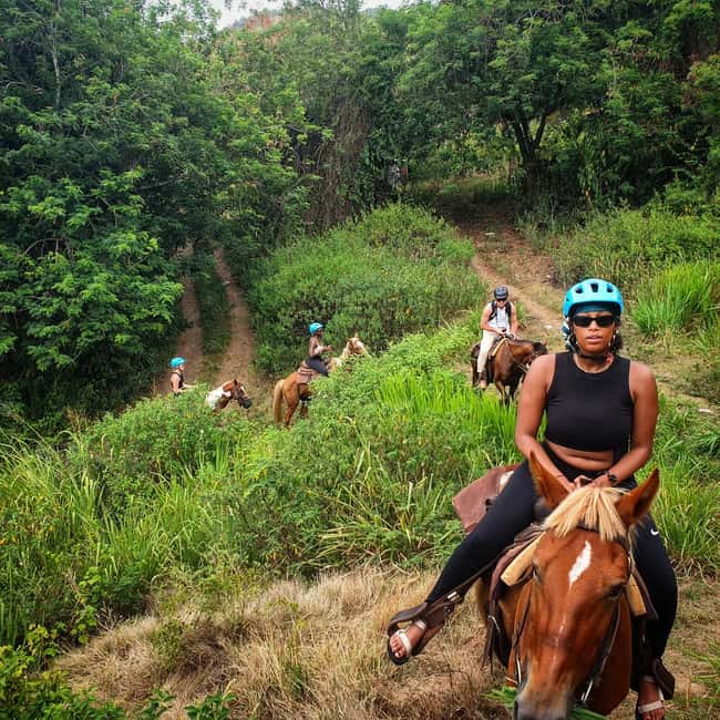 Scenic Horseback Trail - Price, Timing, And Practical Value