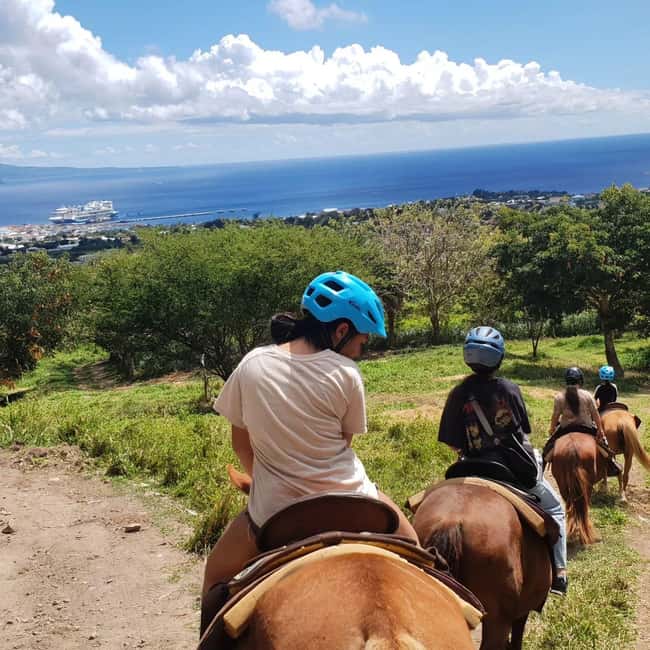 Scenic Horseback Trail - What This Nevis Ride Is Really About