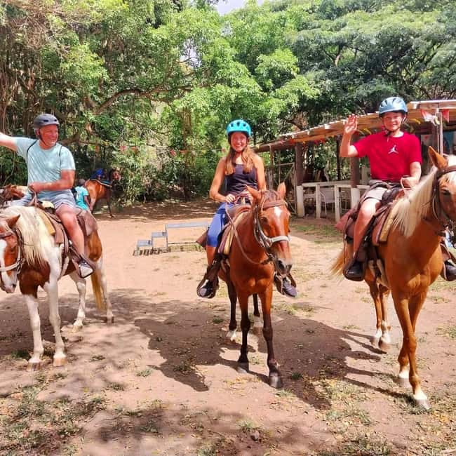 Scenic Horseback Trail - Through Hills Of Fruit Trees And Island Plants