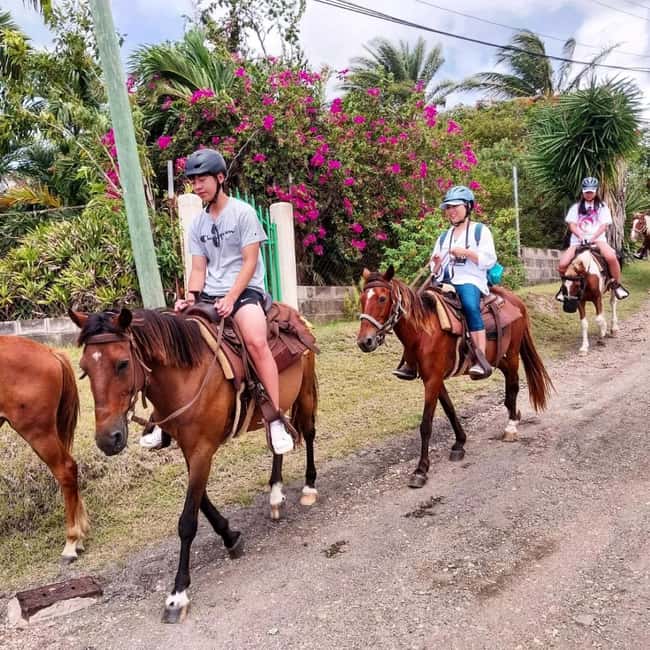 Scenic Horseback Trail - Who Will Get The Most From This Activity