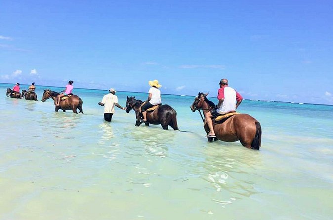 Secret Falls, Blue Hole, and Horseback Riding from Ocho Rios - Pickup, cruise timing, and physical demands