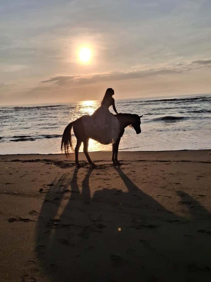 Seminyak: Bali Horse riding Adventure Seminyak Beach - The horses matter more than the scenery