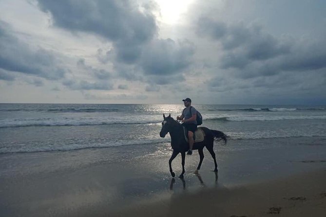 Seminyak Beach Bali Horse Riding - Who will enjoy this activity most?
