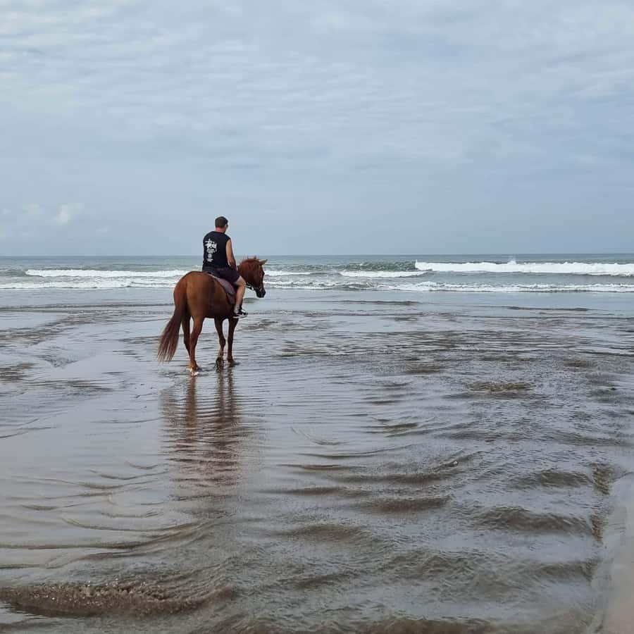 Seminyak Beach Horse Riding Experience - The first minutes: safety, equipment and pace