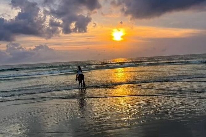 Seminyak Horse back riding In the beach - What the One-Hour Route Feels Like