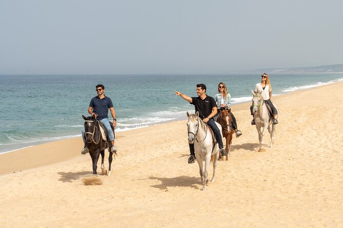 Setubal & Comporta Trip with Horseback Riding from Lisbon - Meeting in Lisbon at 8:30 a.m.