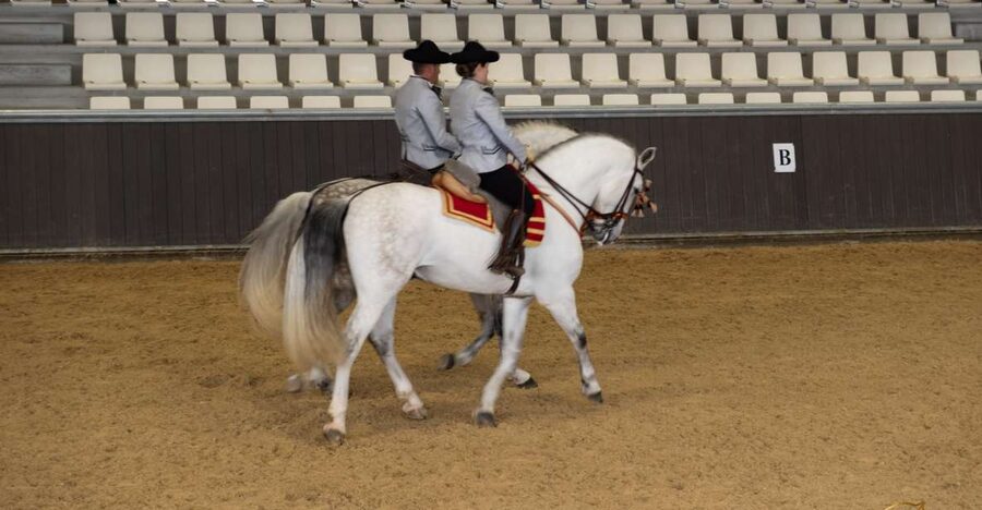 Seville: Horse's Show Entry Ticket. Optional Stud Farm Visit - What the Yeguada Torreluna visit is really about