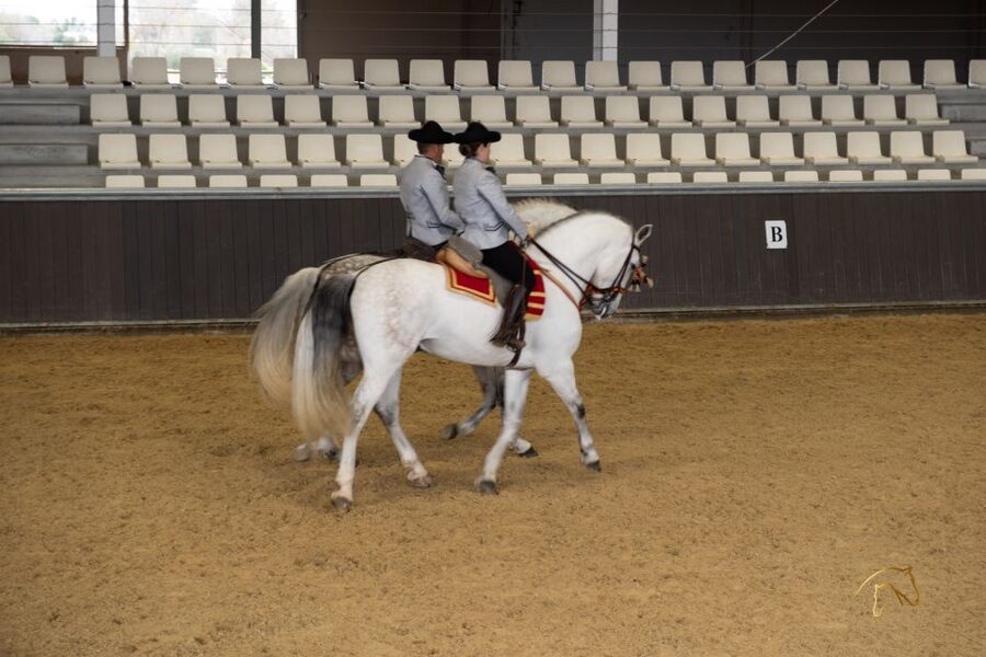 Seville: Horse's Show Entry Ticket. Optional Stud Farm Visit - Stop one: finding the Yeguada Torreluna entrance