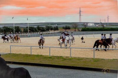 Horse’s Show Entry Ticket. Optional Stud Farm Visit