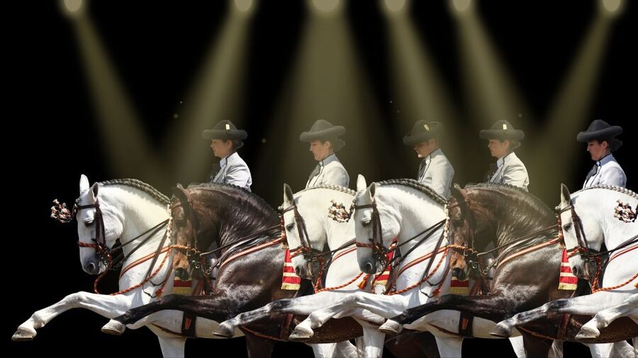 Seville: Horse's Show Entry Ticket. Optional Stud Farm Visit - Stops two through seven: a motivational route with horses at its center