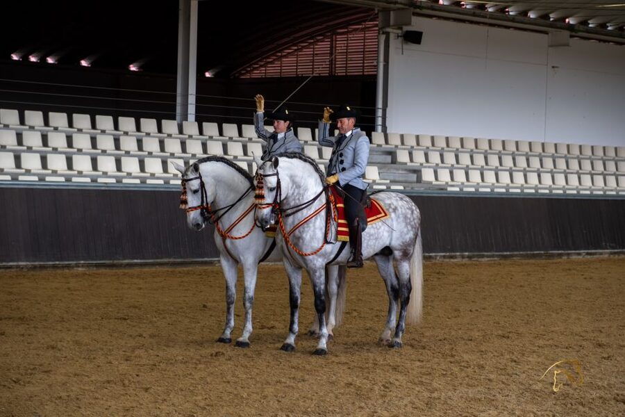 Seville: Horse's Show Entry Ticket. Optional Stud Farm Visit - How much value do you get for $35?