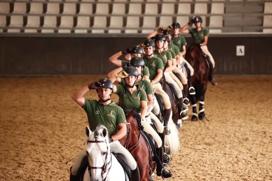 Seville: Horse's Show Entry Ticket. Optional Stud Farm Visit - Who will enjoy this outing most?