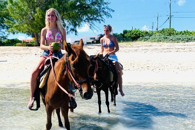 Shared Horseback Riding in Turks and Caicos - The Pre-Ride Lesson Sets the Tone