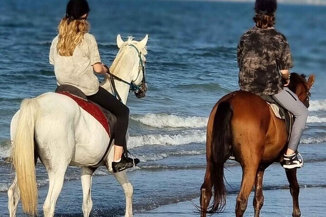 Sharm El-Sheikh: 2-Hour Horse Ride Along Beach & Desert Trails - Key Points at a Glance