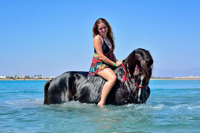 Sharm El-Sheikh: 2-Hour Horse Ride Along Beach & Desert Trails - How the $40 Price Holds Up