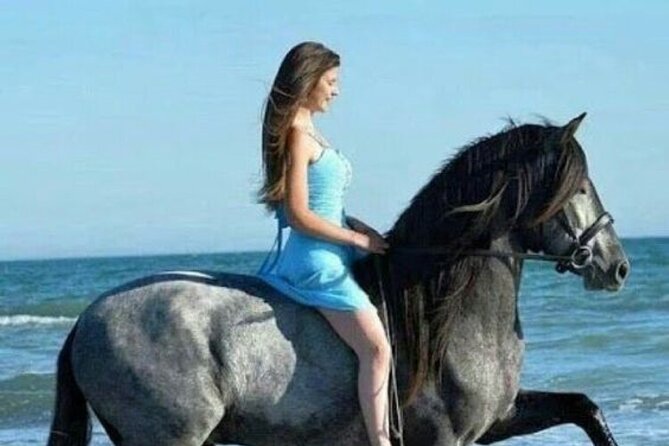 Sharm El-Sheikh: 2-Hour Horse Ride Along Beach & Desert Trails - Group Size and Riding Comfort