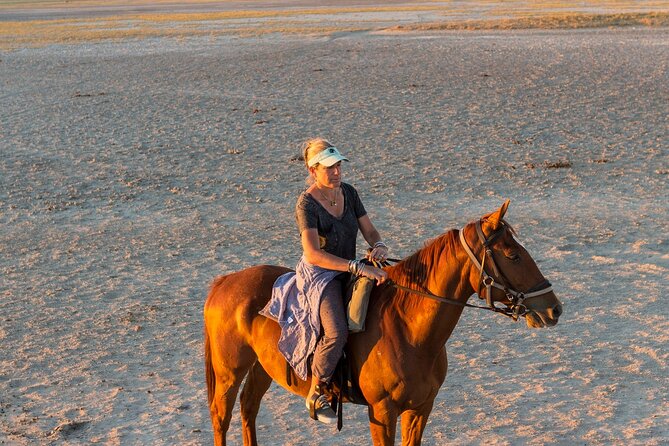 Sharm El-Sheikh: 2-Hour Horse Ride Along Beach & Desert Trails - What to Bring and What to Leave Behind