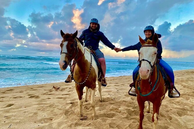 Sharm El Sheikh Horseback Riding with Pickup and Drop-off - Key points at a glance