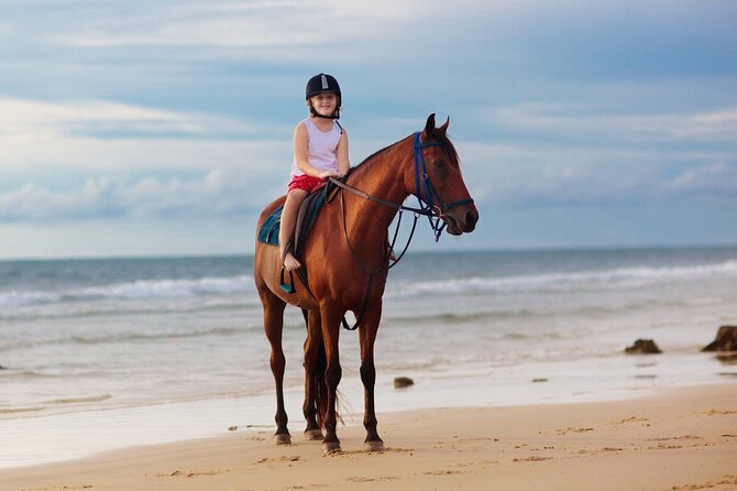 Sharm El Sheikh Horseback Riding with Pickup and Drop-off - Why this ride makes sense in Sharm el Sheikh